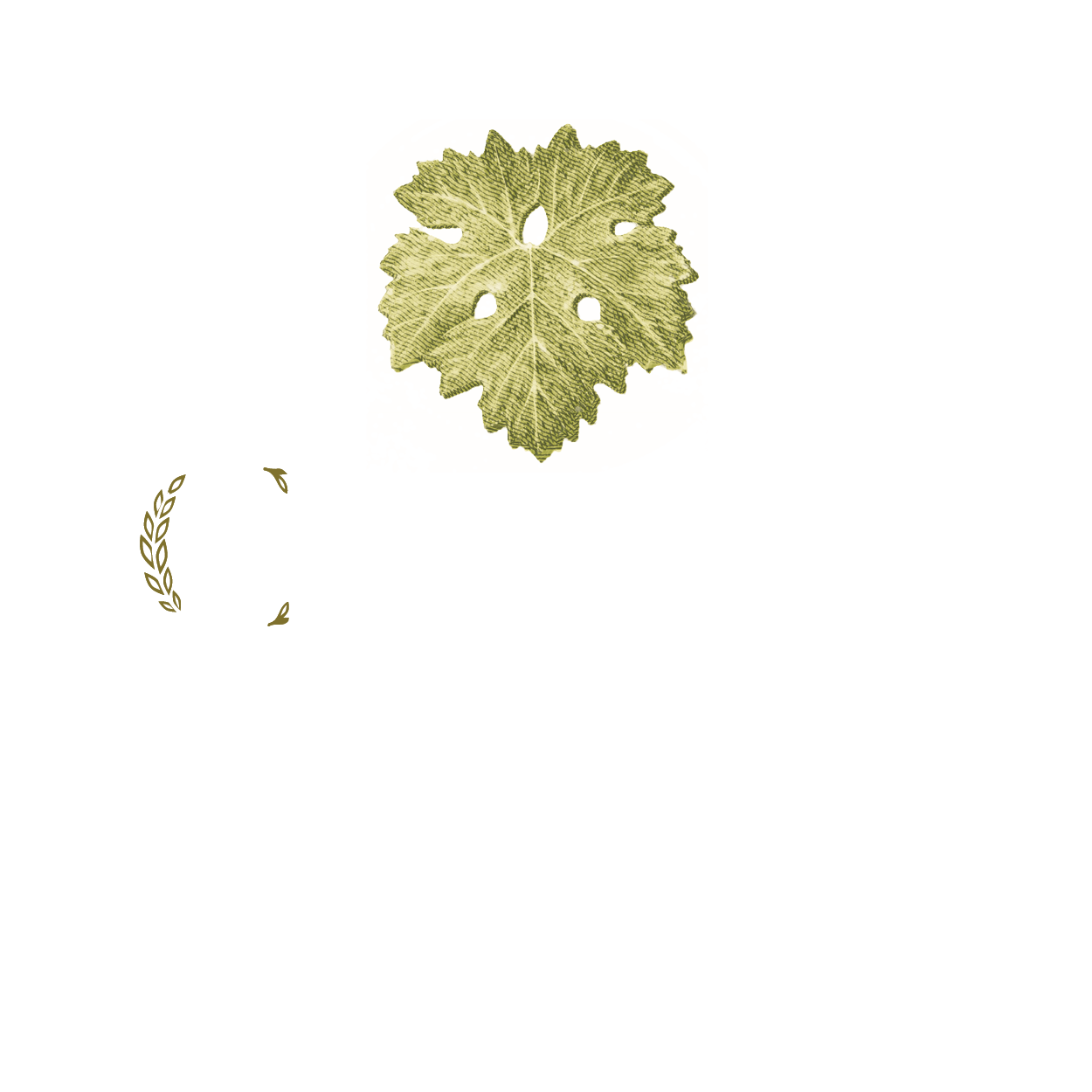 Caymus Vineyards · Napa Valley Cabernet Sauvignon